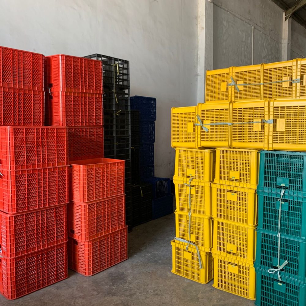 WhatsApp Image 2025-10-13 at 11.21.51